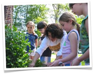Student Teachers plant 